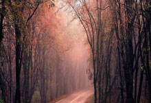 北青：伊万近期向足协汇报工作，国足需尽快敲定6月生死战备战计划.