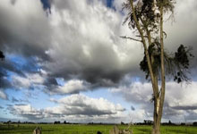 国际奥委会临时认可世界拳联为国际单项体育组织新华网.