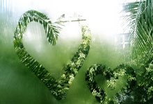 中超：成都蓉城队期待在济南打一个翻身仗.