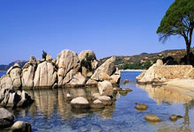 中超：成都蓉城队期待在济南打一个翻身仗.